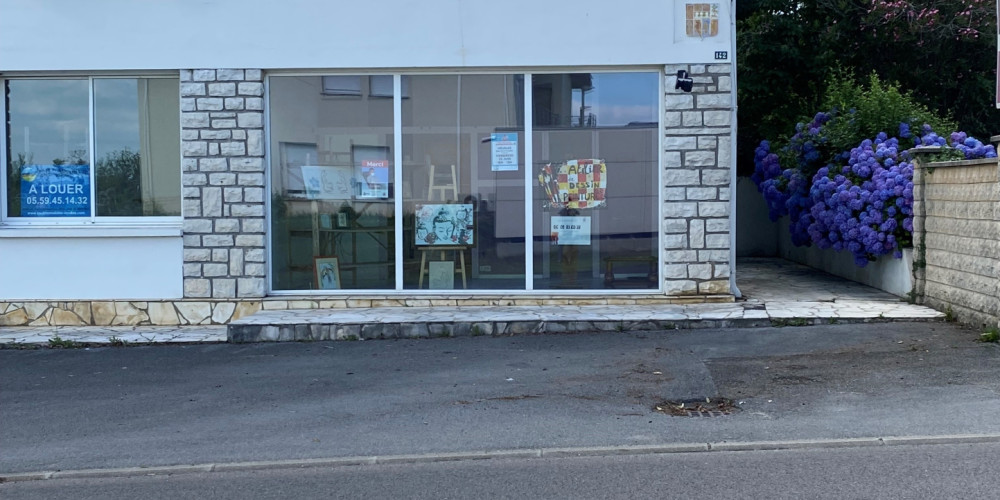local commercial à ST LON LES MINES (40300)